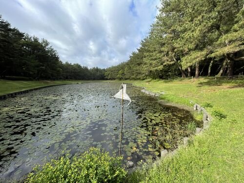 🏞️ 정화의 연못(미소기이케) 이미지 1
